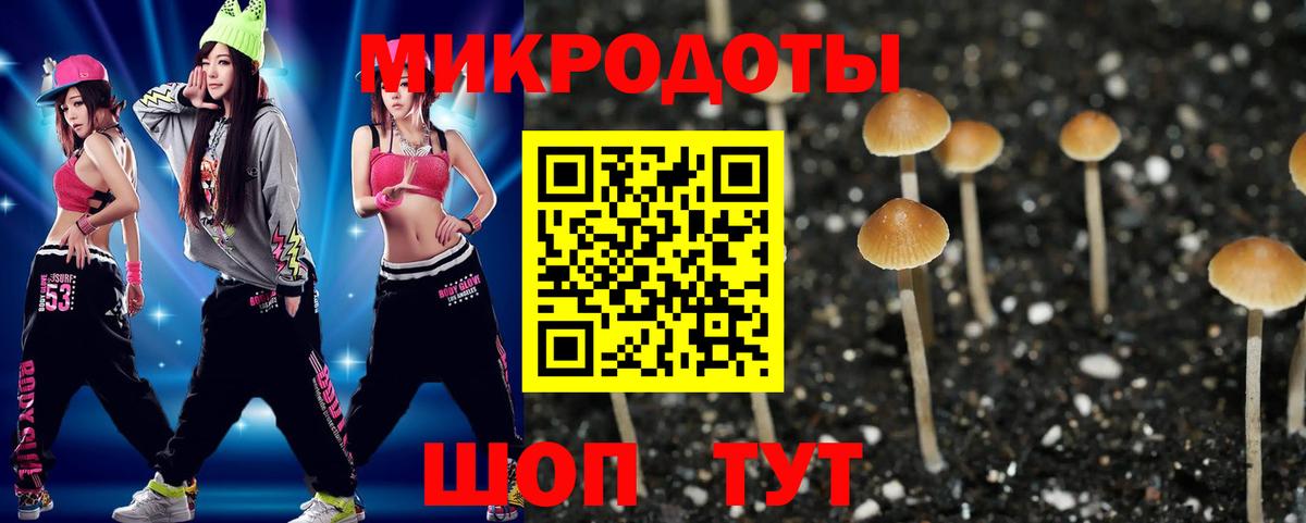 Галлюциногенные грибы прущие грибы Котовск