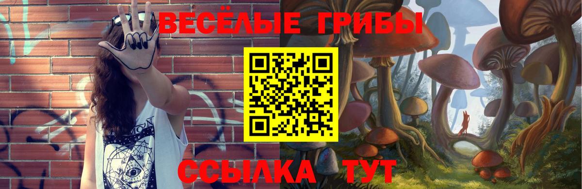 Котовск  Галлюциногенные грибы Psilocybe  Вход с VPN  Галлюциногенные грибы прущие грибы 